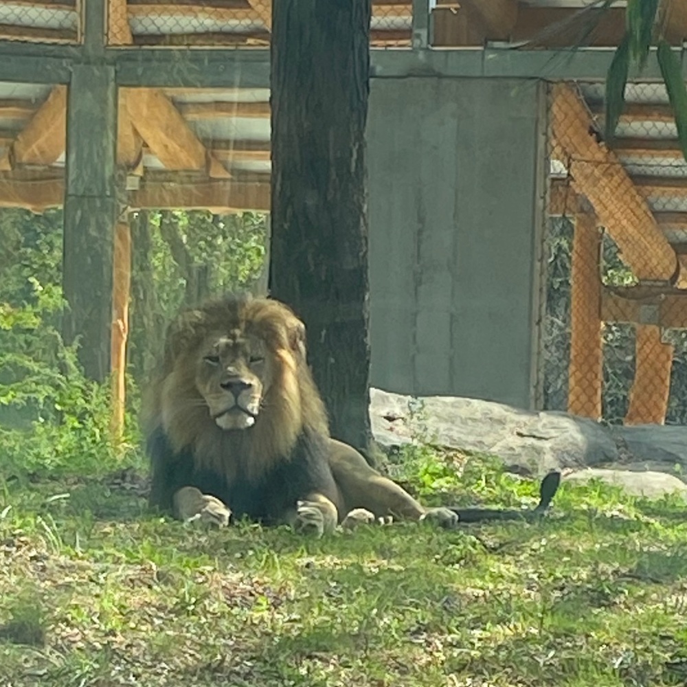 Meet your Posher, Tom